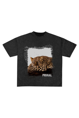 Interference - Vintage