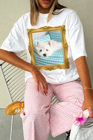 Pet Gallery