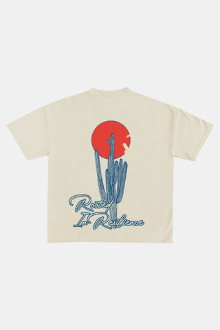 Sonoran Skies