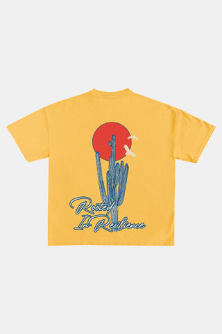 Sonoran Skies